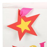 23cm Holly Jolly Colourful Christmas Gift Bag