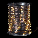 Copper Wire with 100 Lights