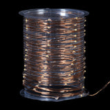 Copper Wire with 100 Lights