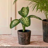 Radstock Pot 14.5cm Antique Brown