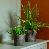 Radstock Pot 14.5cm Antique Brown