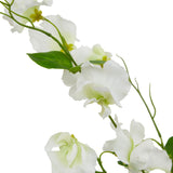 White Sweetpea Stem