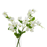 White Sweetpea Stem