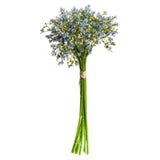 Blue Wildflower Bouquet