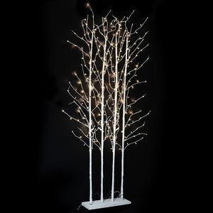 3m Lit Silver Birch Forest