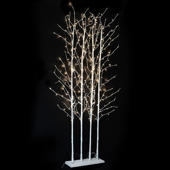 3m Lit Silver Birch Forest