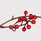 Red Contorted Berry Spray