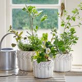 Cetera Pot, Large