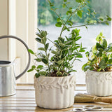 Cetera Pot, Large