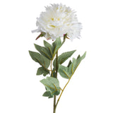 Classic White Peony Stem