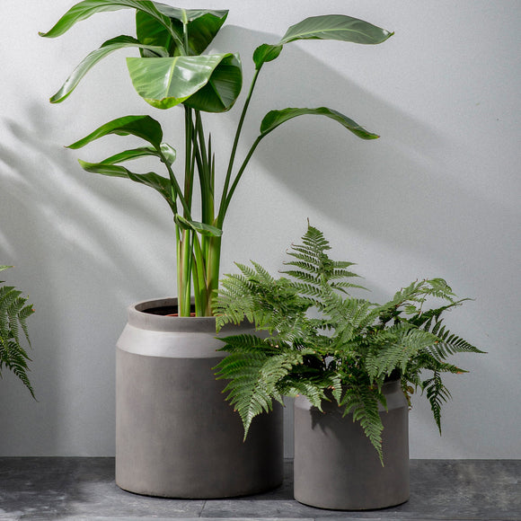 Set of 2 Draycott Planters
