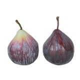 Everlasting Fruit, Fig