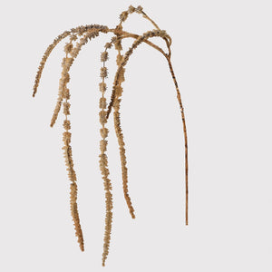 everlasting Flocked Amaranthus Stem