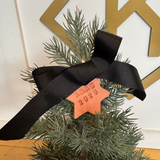 Pine Tree in Terracotta Pot