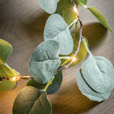 Eucalyptus Garland 20 LED Lights