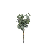 Seeded Eucalyptus Bundle, Dusky Green