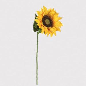 Giant Yellow Sunflower
