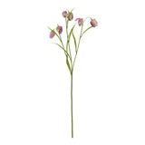 Purple Fritillaria Stem