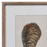 Set of 2 Oyster Framed Pictures