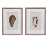 Set of 2 Oyster Framed Pictures