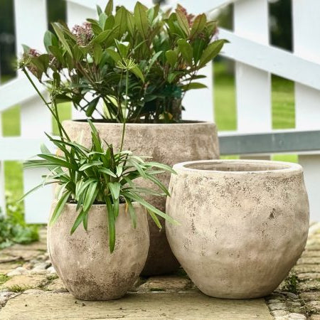 Set of 3 Paxos Planters