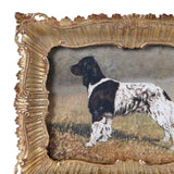 Spaniel in Gold Frame