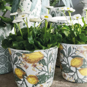 Spanish Lemons Pot