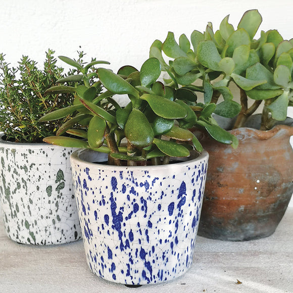 Splash Plant Pot, Green