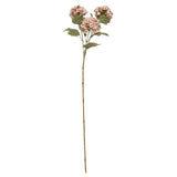 Light Pink Viburnum Spray