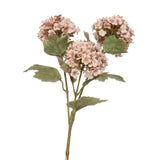 Light Pink Viburnum Spray