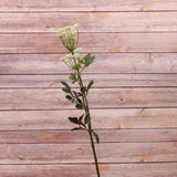 Green Eucalyptus Spray