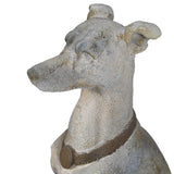 Hound Dog