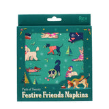 Paper Napkins, Festive Friends
