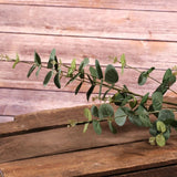 Green Eucalyptus Spray