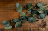 Eucalyptus Stem Spray - KHEE