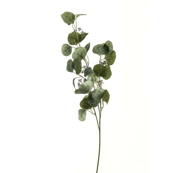 Eucalyptus Stem Spray - KHEE