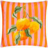 Oranges Outdoor Cushion