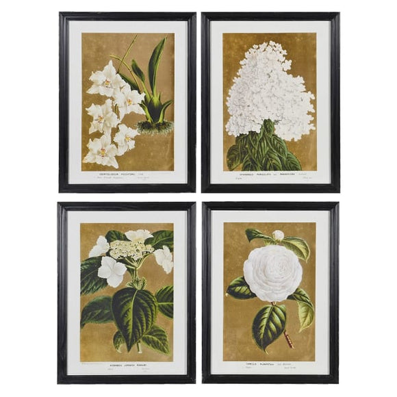 White Florals Wall Art, Set of 4