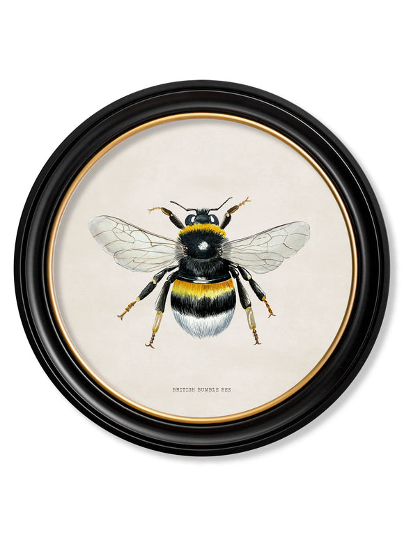 Bumble Bee, 44cm