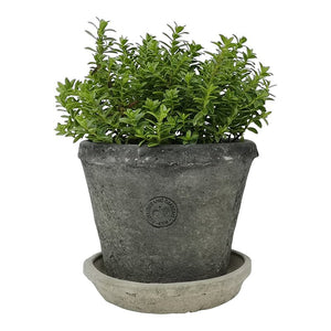 Kew Terracotta Pot - KHEE