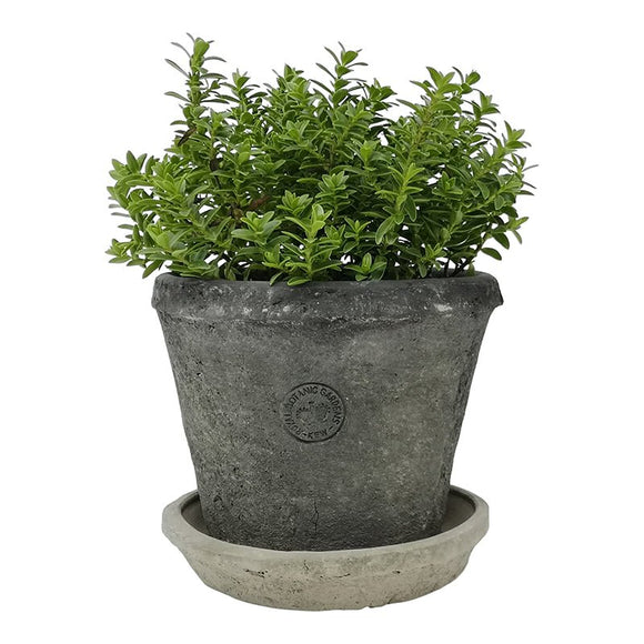 Kew Terracotta Pot - KHEE