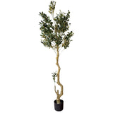 Large Calabira Olive - KHEE