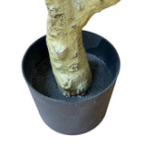 Large Calabira Olive - KHEE