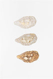 Set of 3 Oysters