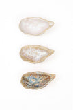 Set of 3 Oysters