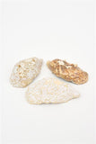 Set of 3 Oysters