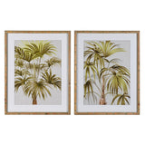 Set of 2 Framed Palm Tree Wall Art - KHEE