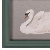 Swan Serenity Print