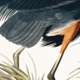 Vintage Blue Heron Framed Art - KHEE