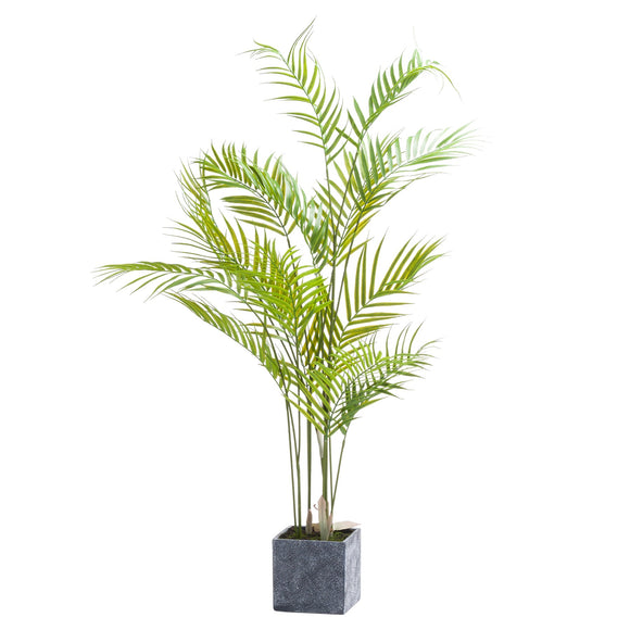 Paradise Potted Palm